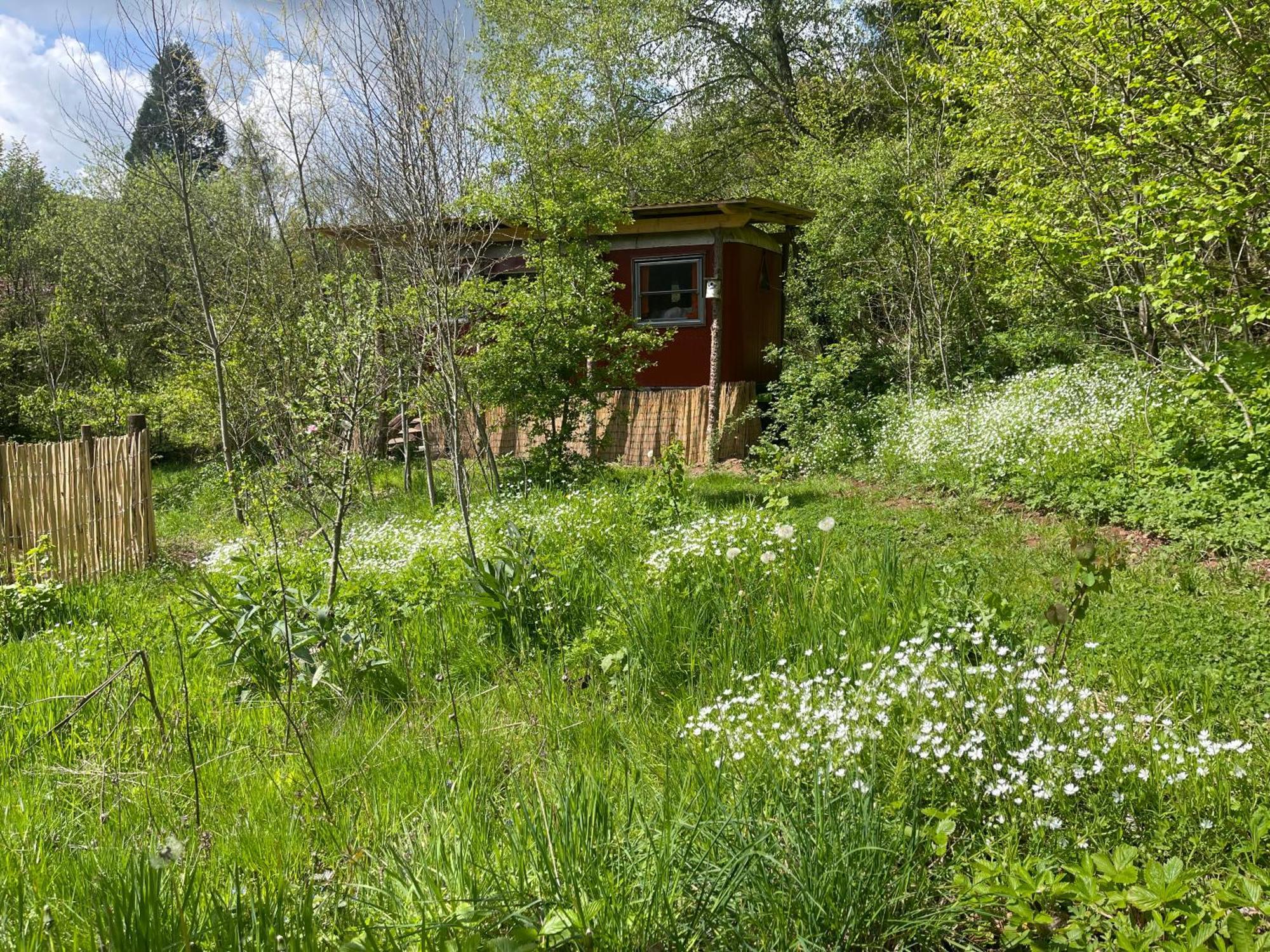 Kuscheliger Zirkuswagen Im Wildgarten Витценхаузен Экстерьер фото